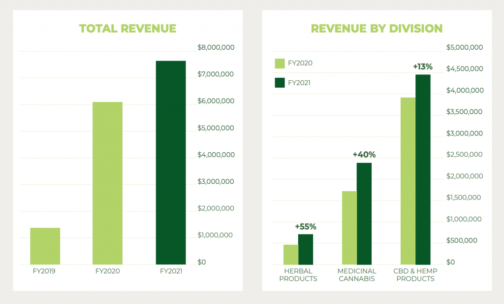 BDA FY21 Revenue Breakdown