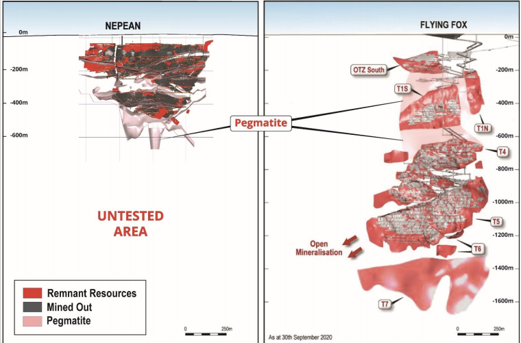 Nepean and Flying Fox Geo Surveys