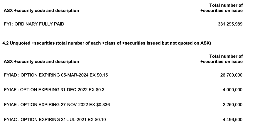 FYI Capital Structure